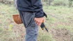 P19_Dynascan-P19_mano-bosque-cesta-scaled-1.webp